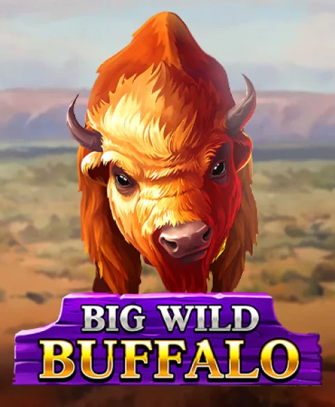 Play Big Wild Buffalo at Untold Casino